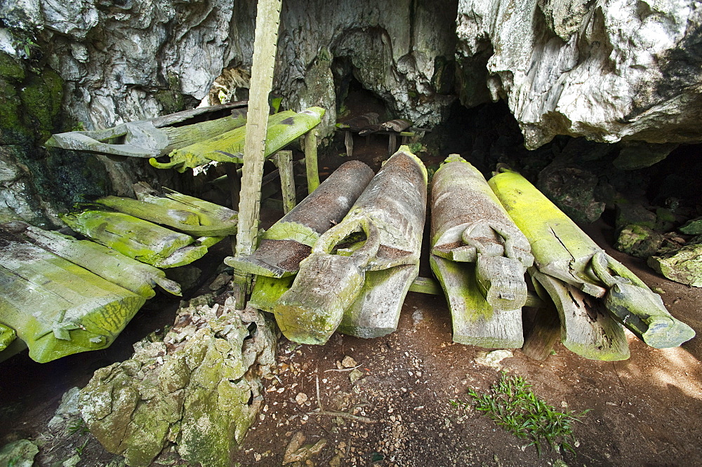 Timber Coffins in Burial Caves, Kinabatanga Valley, Sabah, Borneo, Malaysia