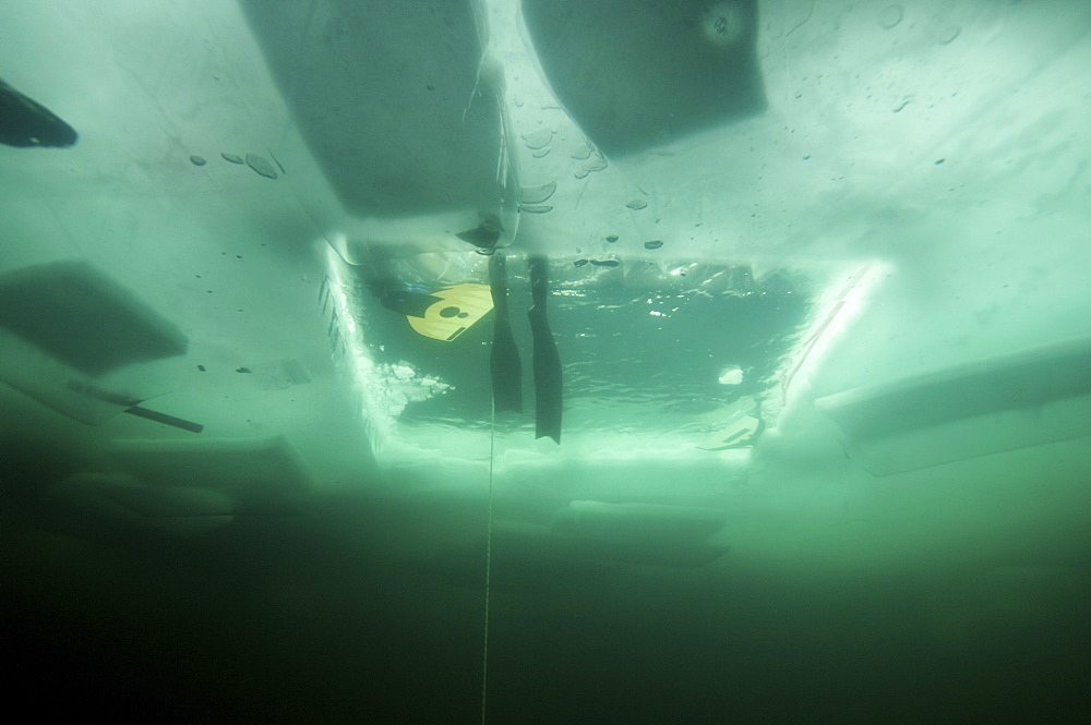 freedivers in the Oslo Ice Challenge 2009. Oslo, Norway