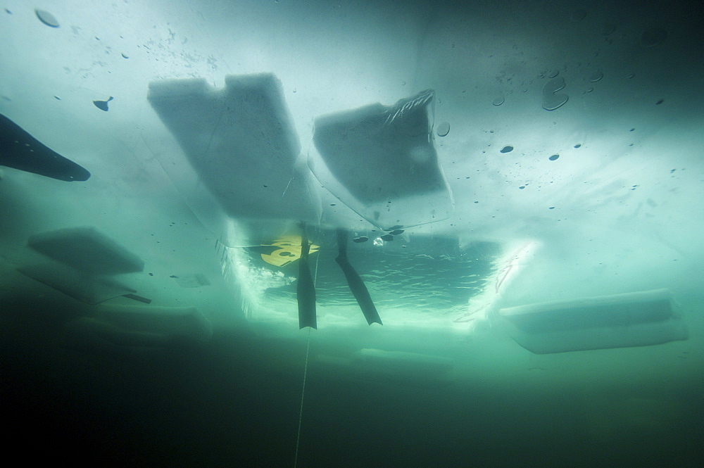 freedivers in the Oslo Ice Challenge 2009. Oslo, Norway