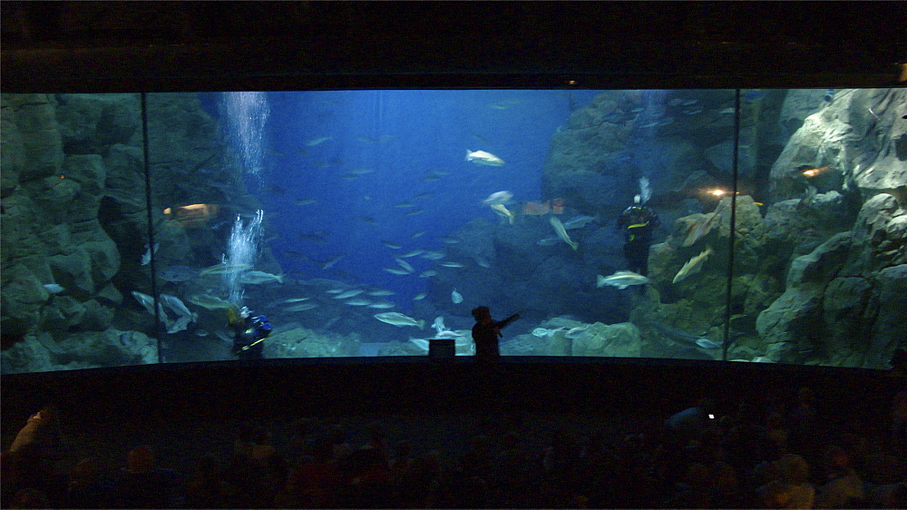 Families enjoying a day out at the aquarium in .Plymouth Devon . UK