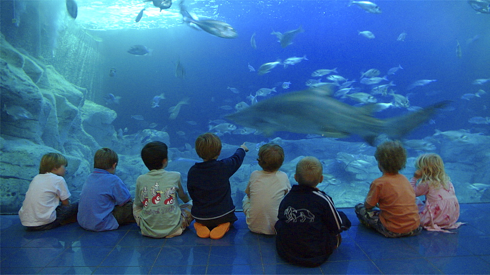 Children enjoy watching the sharks in aquarium .Plymouth Devon . UK