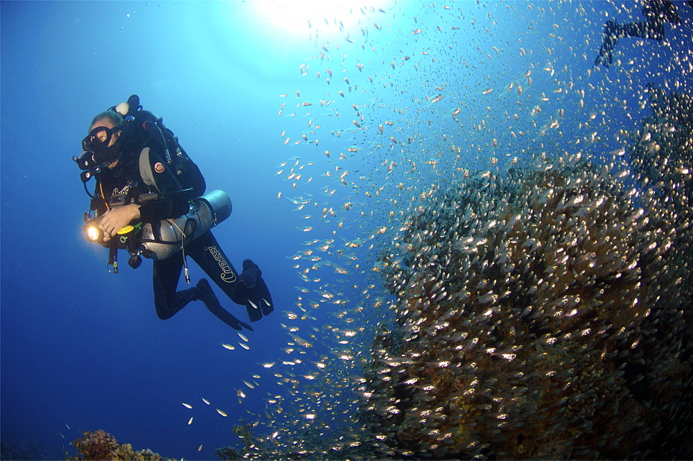 Mixed gas rebreather diver showing equipment.  Red Sea.