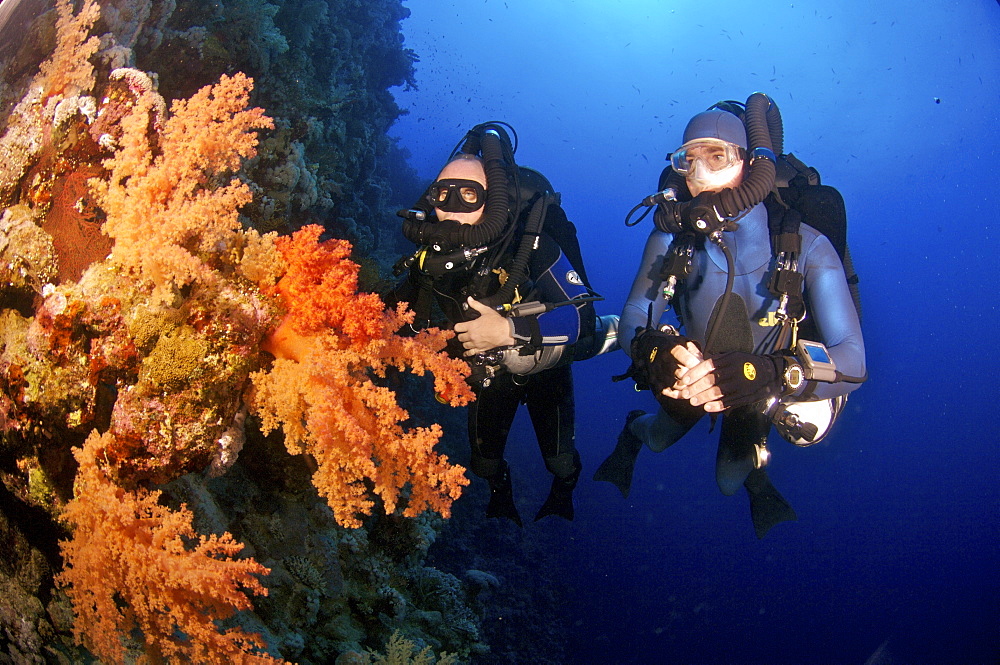 Mixed gas rebreather divers with soft coral.  Red Sea.