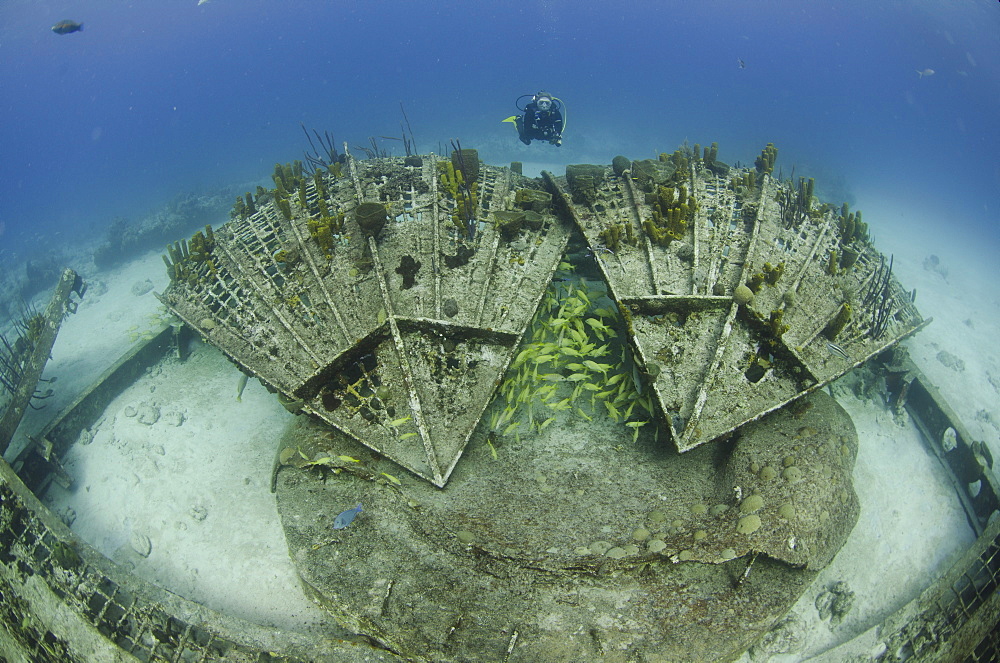 Diver explorers the Thunder dome, Turks and Caicos, West Indies, Caribbean, Central America 