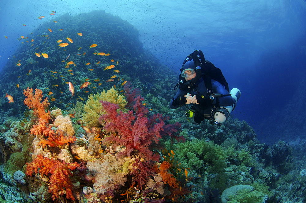 Mixed gas rebreather diver on coral reef.  Red Sea.