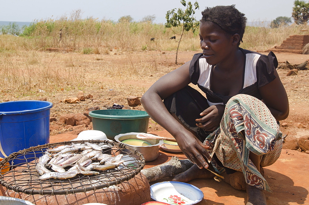 Lady preparing fish for meal, Talpia, Zambia, Africa