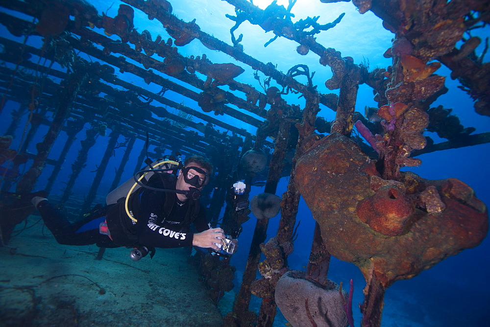 Wreck diving on the James Bond bomber wreck in Bahamas, West Indies, Central America