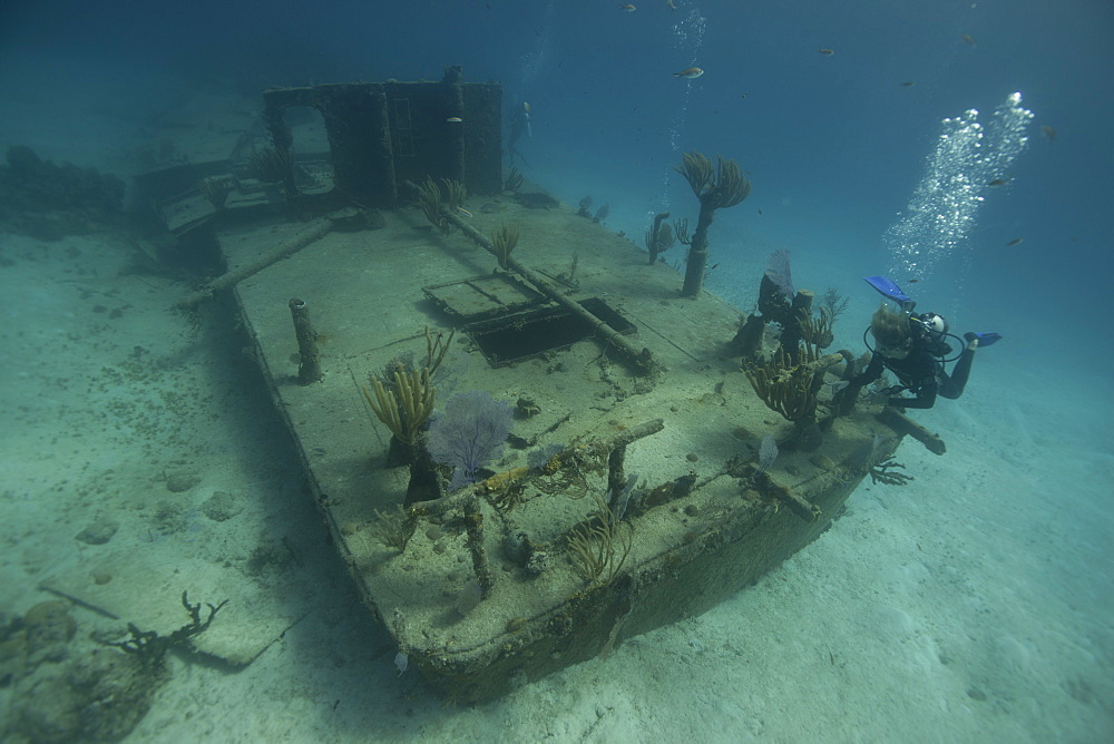 Barge wreck in the Bahamas, West Indies, Central America