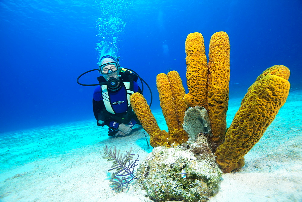 Pensioner enjoying a dive on the reef, Turks and Caicos, West Indies, Central America