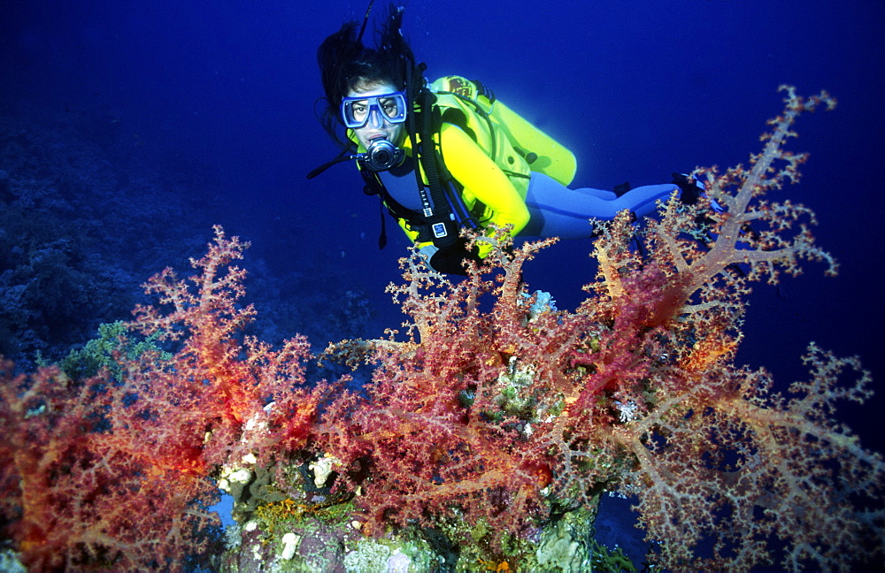 Diver enjoying reef diving in Barbados, Caribbean