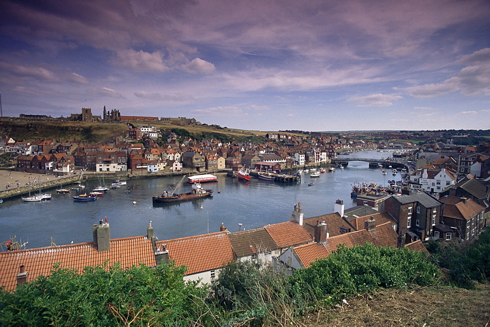 Whitby, Yorkshire, England, United Kingdom, Europe