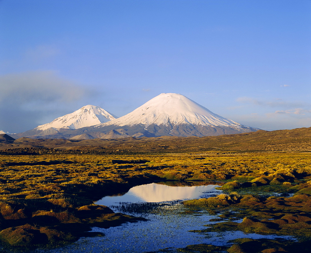 Volcan Parinacota and Volcan Pomerape, Lauca National Park, Chile, South America