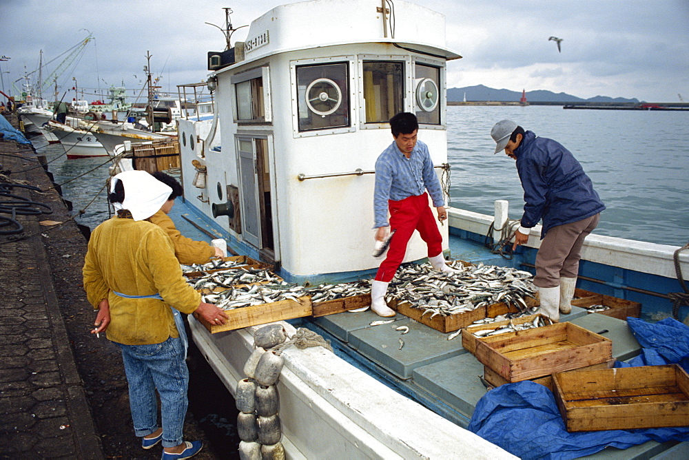 Fishermen selling their catch off the boat on Fukue Island, Nagasaki Prefecture, Japan, Asia