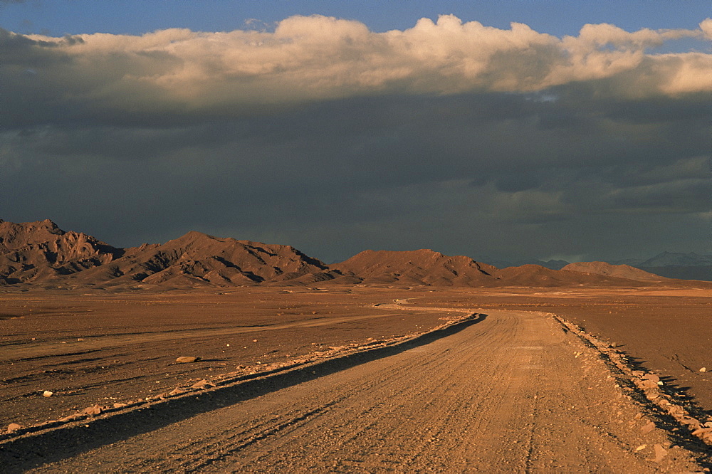 Pampa, Llalqui, Atacama, Chile, South America