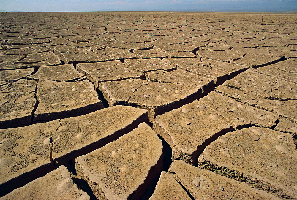 Atacama Desert, Chile, South America