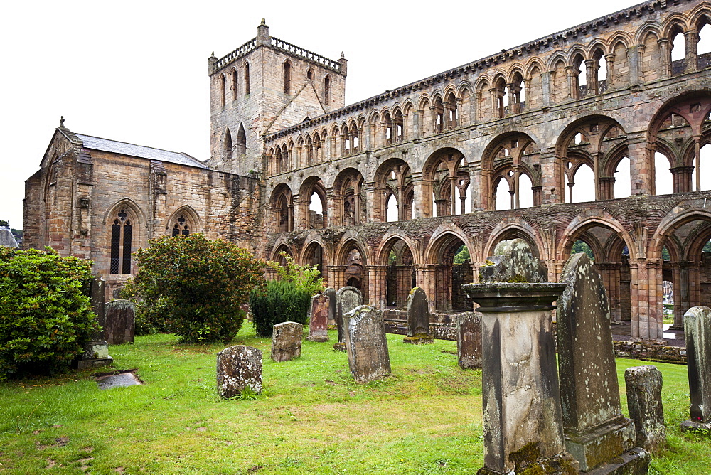 Jedburgh Abbey dating from the 12th century, Jedburgh, Scottish Borders, Scotland, United Kingdom, Europe