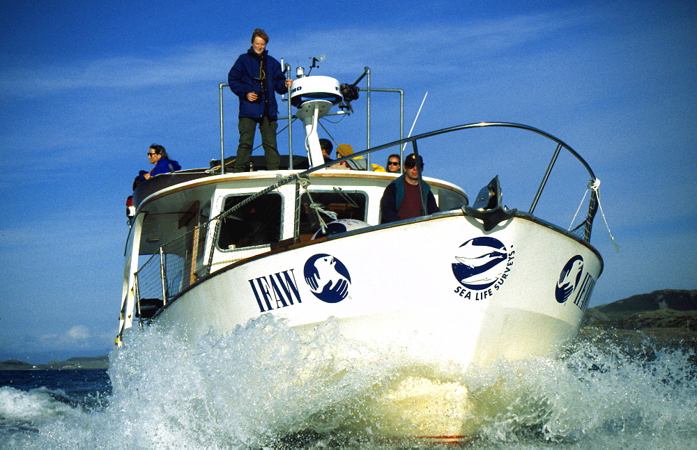 Whale watching boat run by Sea Life Surveys, with lookouts on the wheel house roof. Hebrides, Scotland