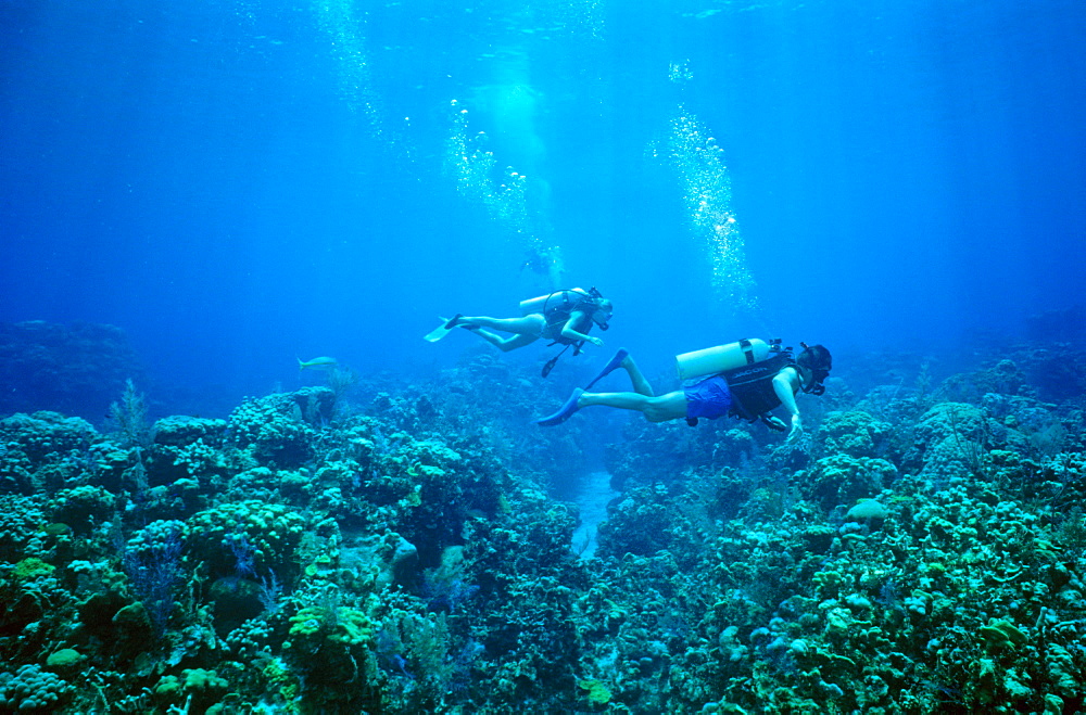 Diver on "Greenhouse" Reef, Cayman Islands.