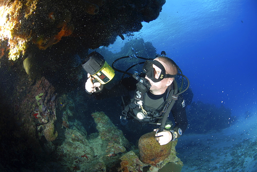 Diver using torch amidst corals, sea fans and sponges, Grand Cayman Island, Cayman Islands, Caribbean