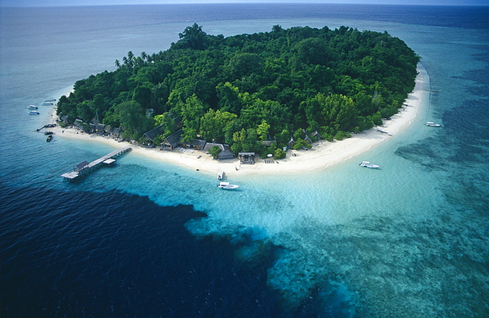 Pulau Sipidan, Borneo.