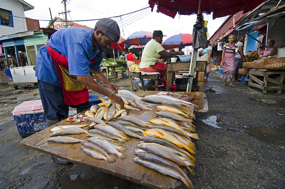 Fish stall in Stabroek Market, Georgetown, Guyana, South America