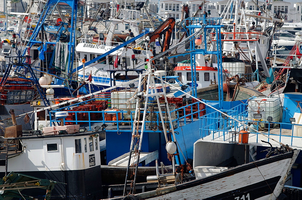 Densely crowded fishing boats moored in Tangier fishing harbour, Tangier, Morocco, North Africa, Africa