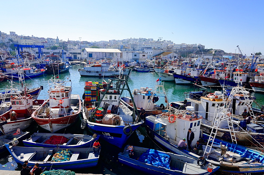 Fishing harbour, Tangier, Morocco, North Africa, Africa