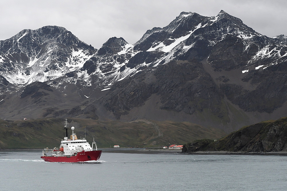 British Antarctic Survey's research vessel James Clark Ross leaving King Edward Point and Allardyce Range behind, South Georgia, Polar Regions