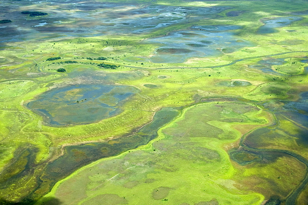 Aerial view of flooded areas of the Rupununi, Guyana, South America