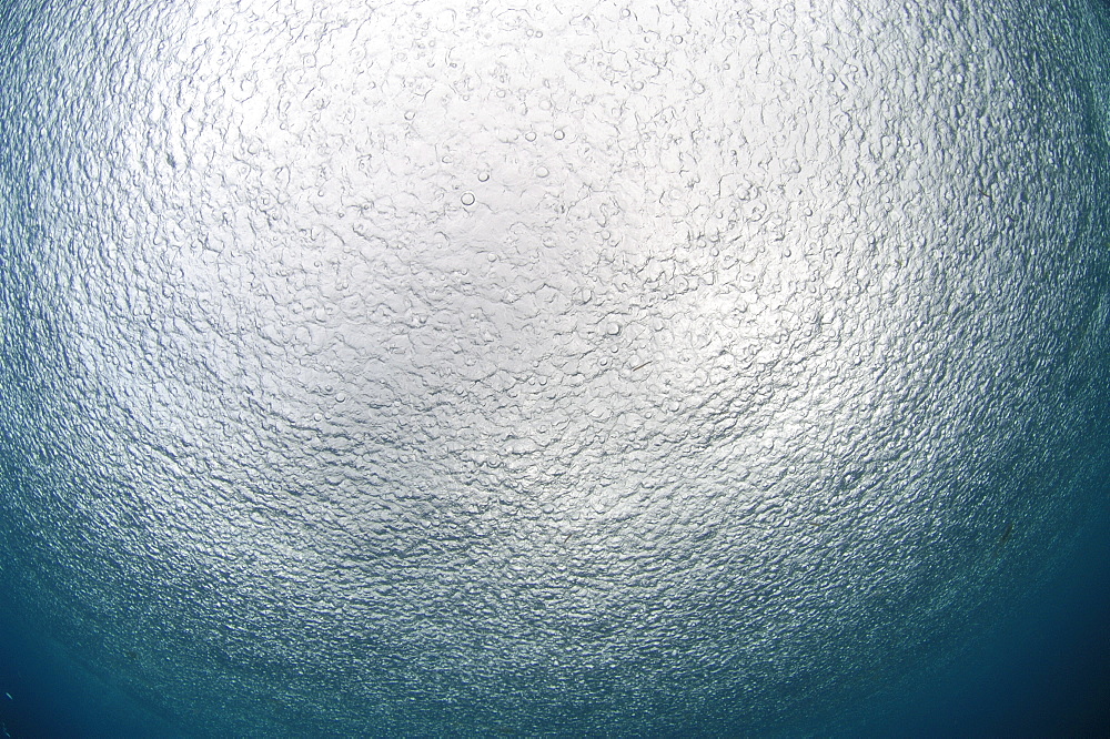 Rain on sea surface from below.  Malaysia   (RR)