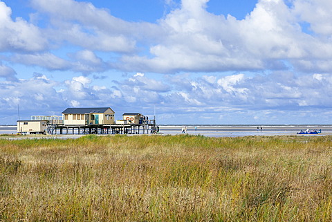 Surf club, Schiermonnikoog, West Frisian Islands, Friesland, The Netherlands (Holland), Europe