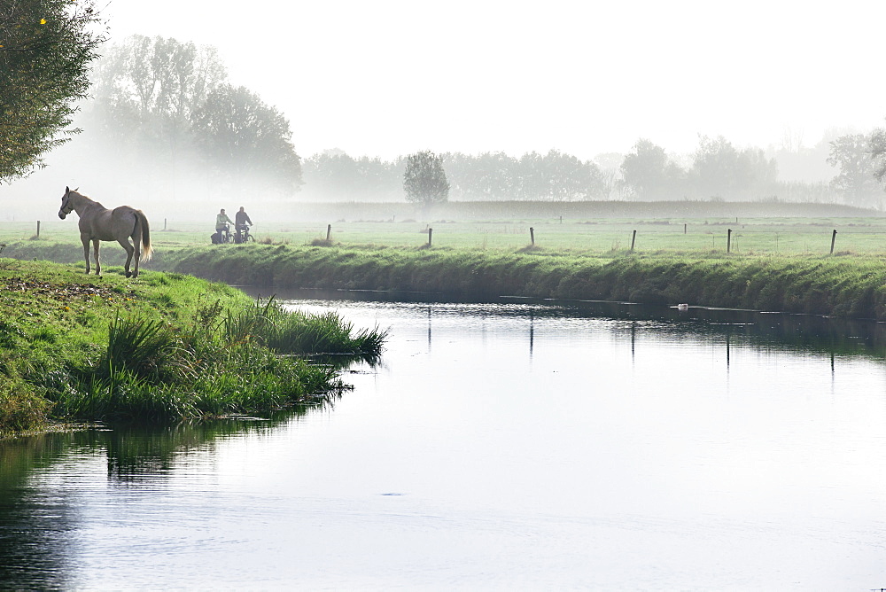 Scenic with mist, horse and two people cycling next to River Mark in autumn, Breda, North Brabant, The Netherlands (Holland), Europe