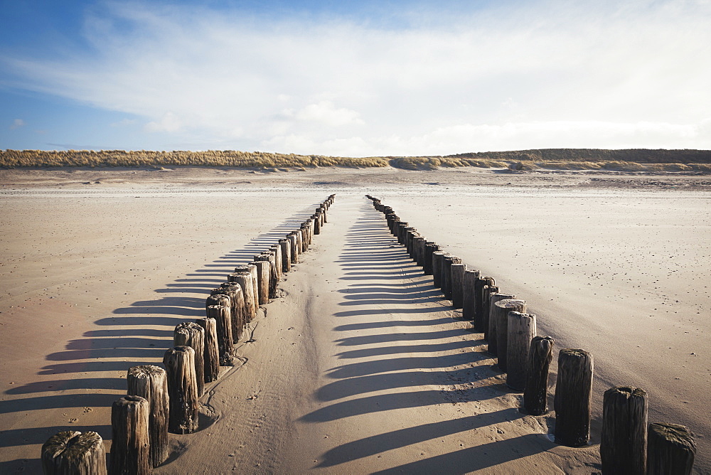 Wooden groynes on a sandy beach, leading to sand dunes, Domburg, Zeeland, The Netherlands, Europe 