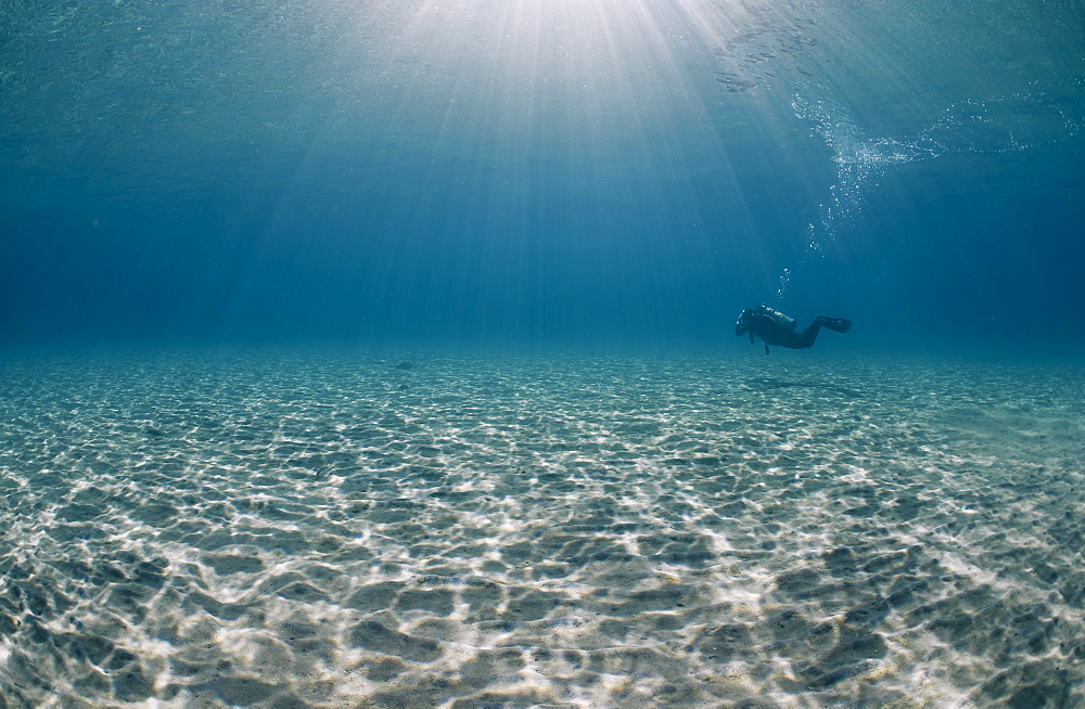 Solitary scuba diver in shallow sandy bay, with sun beams, Naama Bay, Sharm El Sheikh, Red Sea, Egypt, North Africa, Africa