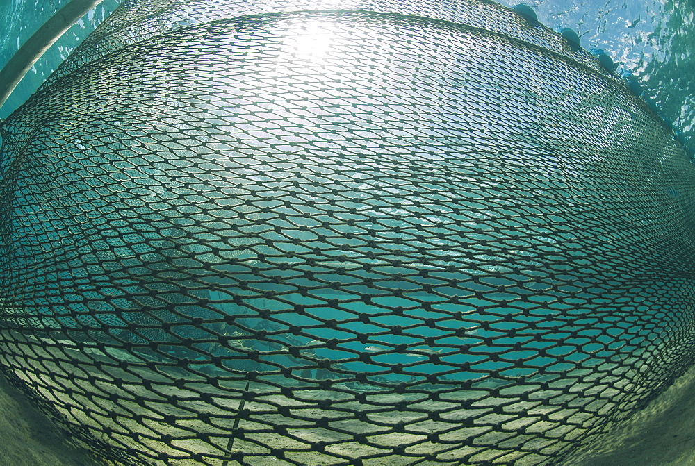 Shark net set in shallow water, Naama Bay, Ras Mohammed National Park, Sharm El Sheikh, Red Sea, Egypt, North Africa, Africa