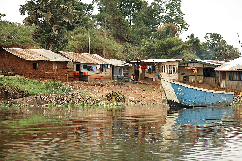 With such demands for Lake Victoria's Nile perch, the value of the fishery has risen considerably. Labour inflows into the fishery have increased along with growing demand. In 2004, there were 51,712, boats on the lake and 153,066 fishermen.  All along the lakeshore, GÂ®?boom townsGÂ®Ã¶ have developed in response to the demands of fishing crews with money to spend from a dayGÂ®Ã¶s fishing. These towns resemble shanties and have little in the way of services. Jinja, Uganda, East Africa