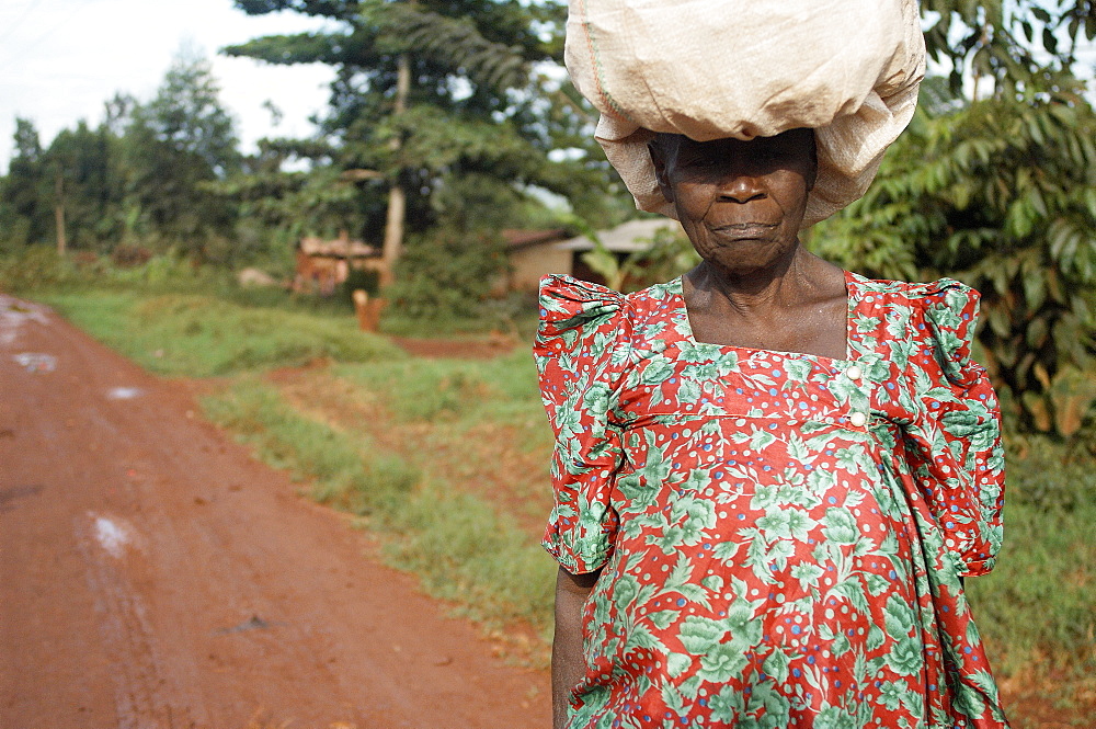 Old woman in bright dress is carrying her load on top of her head.  On the outskirts of Jinja, Uganda. Jinja, Uganda, East Africa