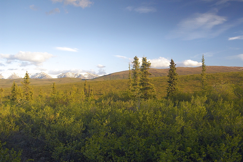 The furthest a car can go on the stampede trail, overlooking the topography of hills and distant snow-capped mountains at sunset.  Blue sky deceives the late evening with almost continuous daylight in Alaska during the summer. . The Interior, Alaska, USA