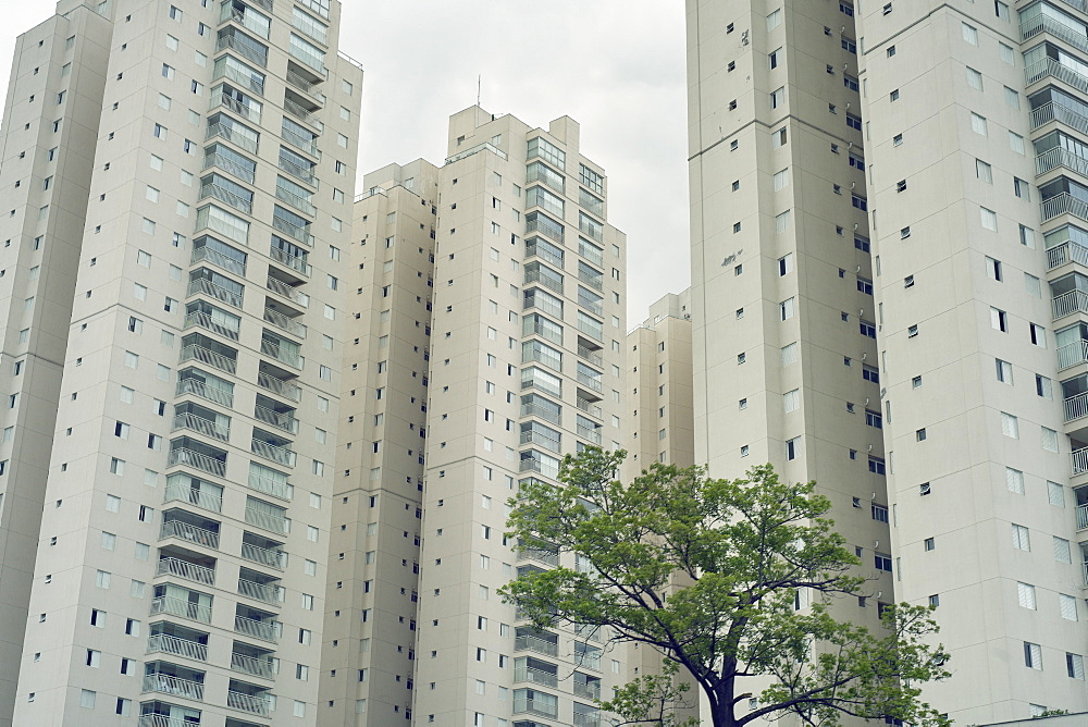 Imposing residential developments overshadow their surroundings and a stark contrast to the lone tree, Central Sao Paulo area, Brazil, South America