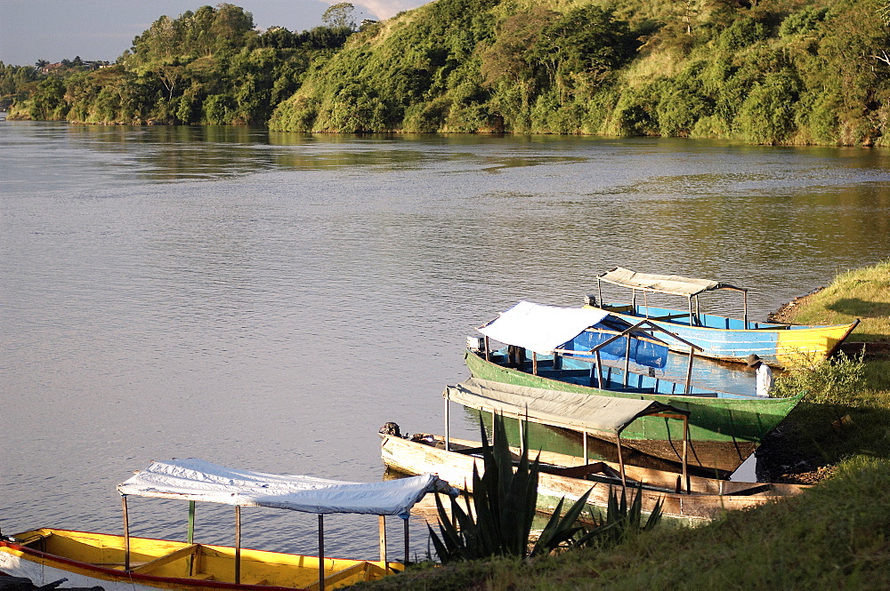 With such demands for Lake Victoria's Nile perch, the value of the fishery has risen considerably. Labour inflows into the fishery have increased along with growing demand. In 2004, there were 51,712, boats on the lake and 153,066 fishermen. Jinja, Uganda, East Africa