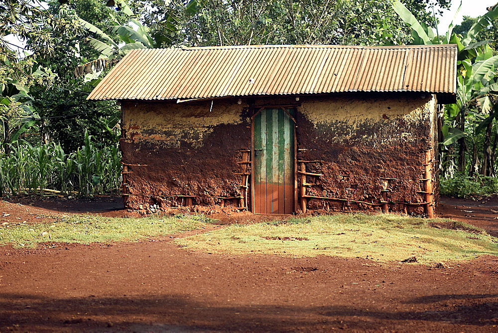 Using ancient techniques of wattle & daub, you can see on this hut how it was built.  This sustainable and accessible technique is finnished off with a 20th century roof addition. Jinja, Uganda, East Africa