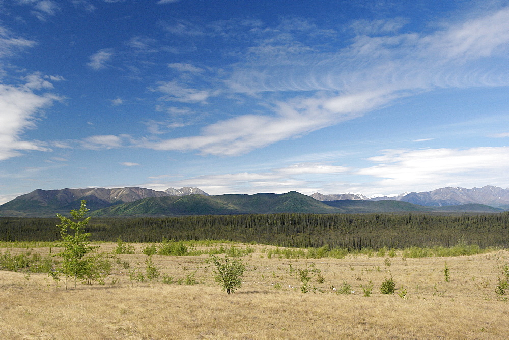 Mountain Vista in the summer In Alaska's Interior. The Interior, Alaska, USA