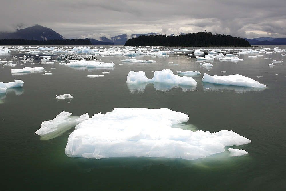 Calved icebergs and bergy bits fallen from the Le Conte Glacier in Le Conte Bay, Southeast Alaska, USA.