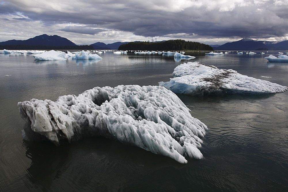 Calved icebergs and bergy bits fallen from the Le Conte Glacier in Le Conte Bay, Southeast Alaska, USA. Le Conte glacier is the southernmost tidewater glacier in the northern hemisphere.