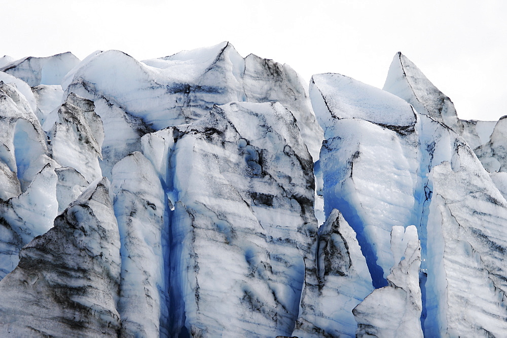 A view of Lamplugh Glacier in Glacier Bay National Park, Southeast Alaska, USA.