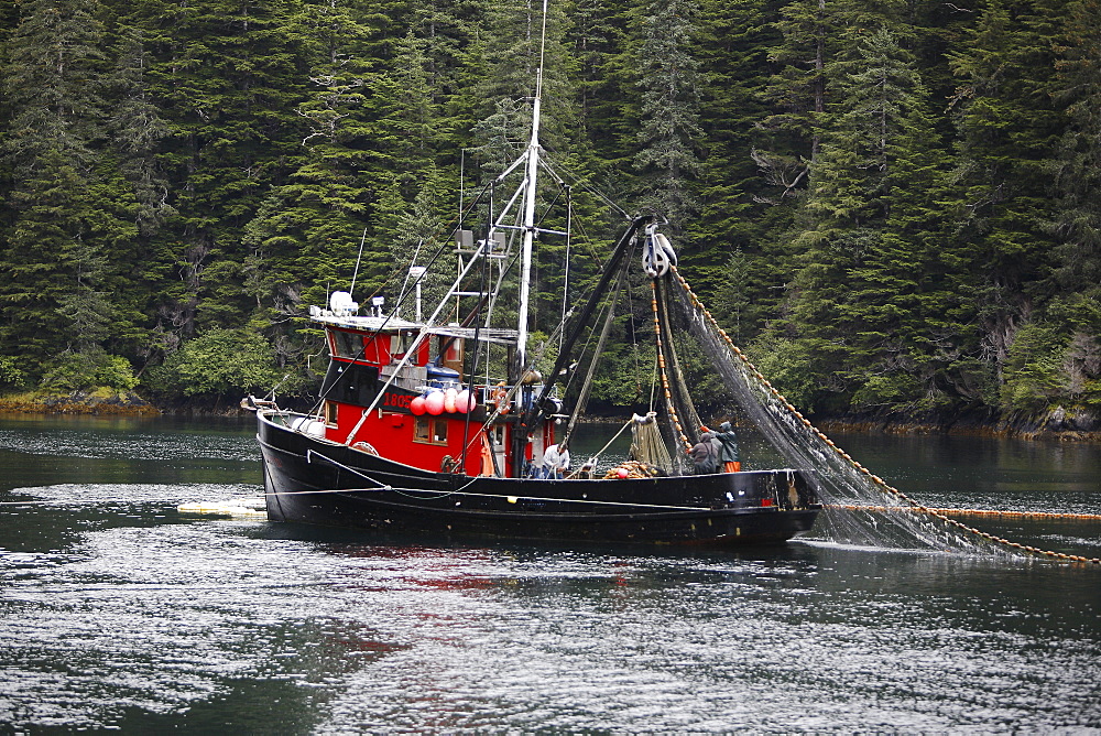 Purse-seiners operating in Red Bluff Bay, Baranof Island, Southeast Alaska. These vessels are fishing for salmon. No property or model release.