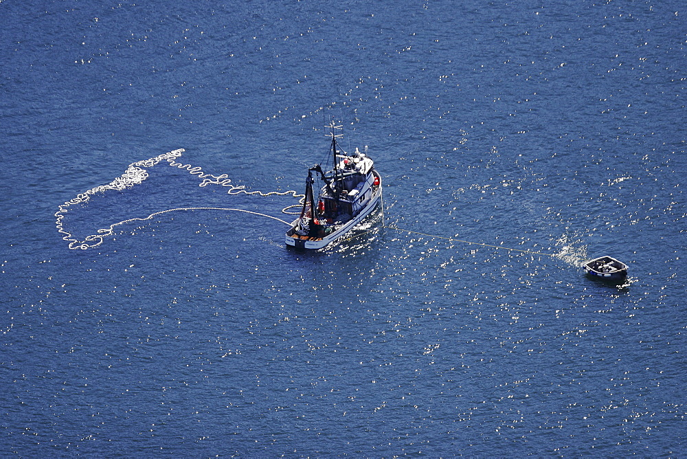 Aerial view of the Alaskan purse-seiner fishery for wild salmon off Point Augustus, Chichagof Island, Southeast Alaska, USA