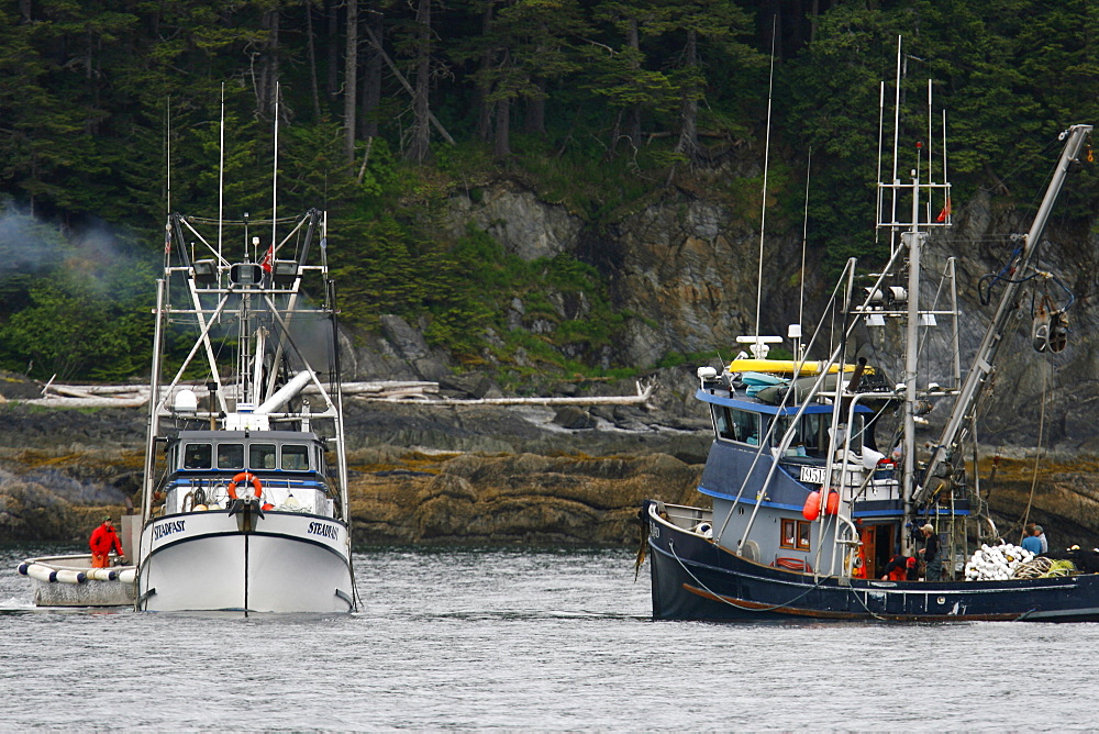 Purse-seine fisherman working off Point Augusta on Chichagof Island, Southeast Alaska, USA