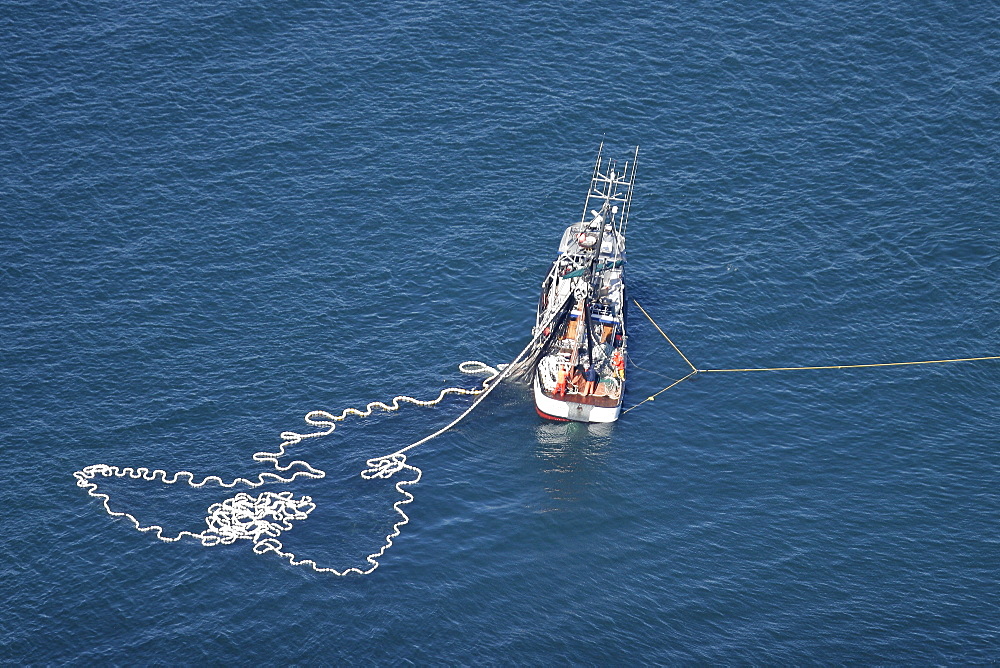 Aerial view of the purse-seiner fishery for salmon off Point Augustus, Chichagof Island, Southeast Alaska, USA.