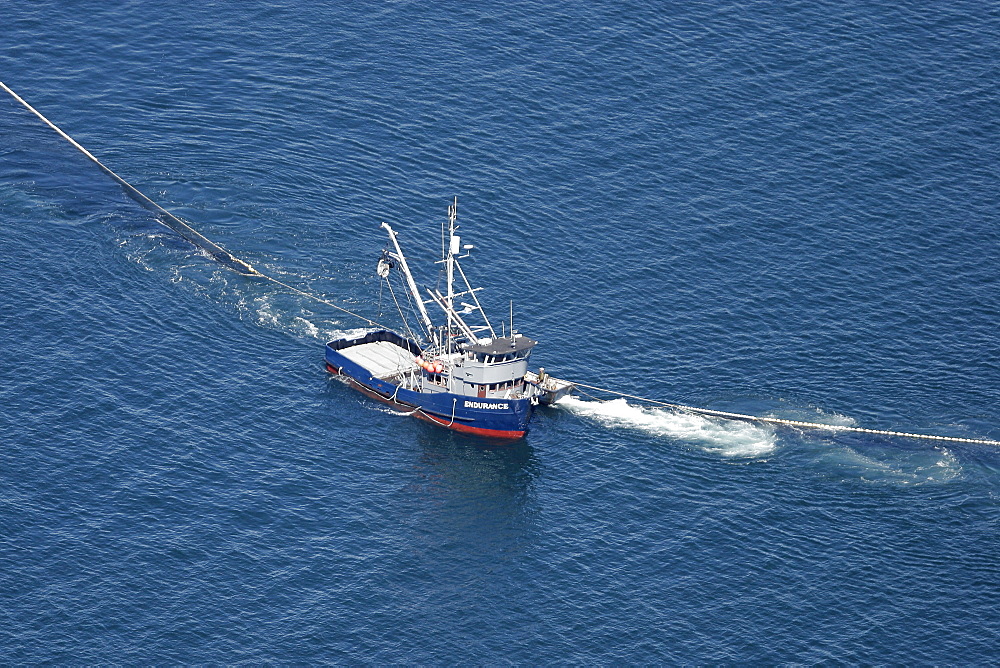 Aerial view of the purse-seiner fishery for salmon off Point Augustus, Chichagof Island, Southeast Alaska, USA. Closing the purse.